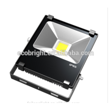 Hohe LumenFlood Outdoor-Led-Licht Led Flood Light 30W/50W/100W mit 3 Jahre Garantie